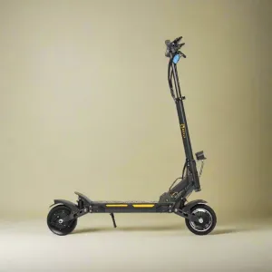 Bexly Bandit Electric Scooter 600 Watts Pick Superlight Solid Tyre 6 months free service