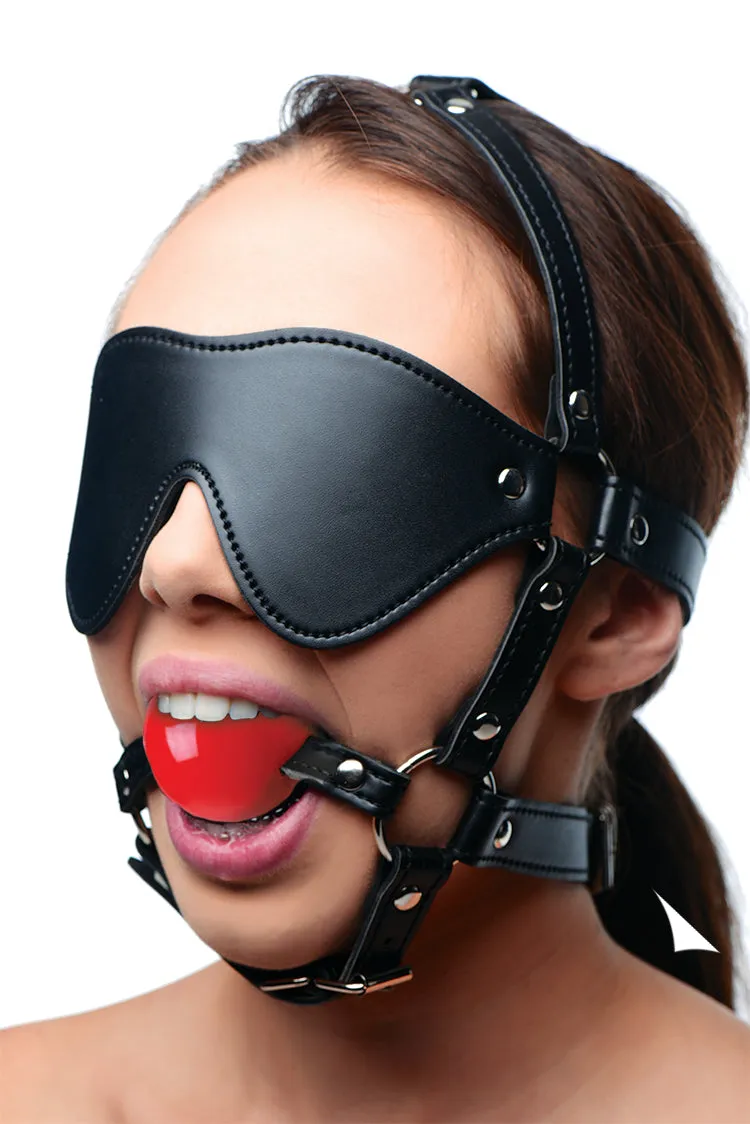 Red Blindfold Harness with Ball Gag